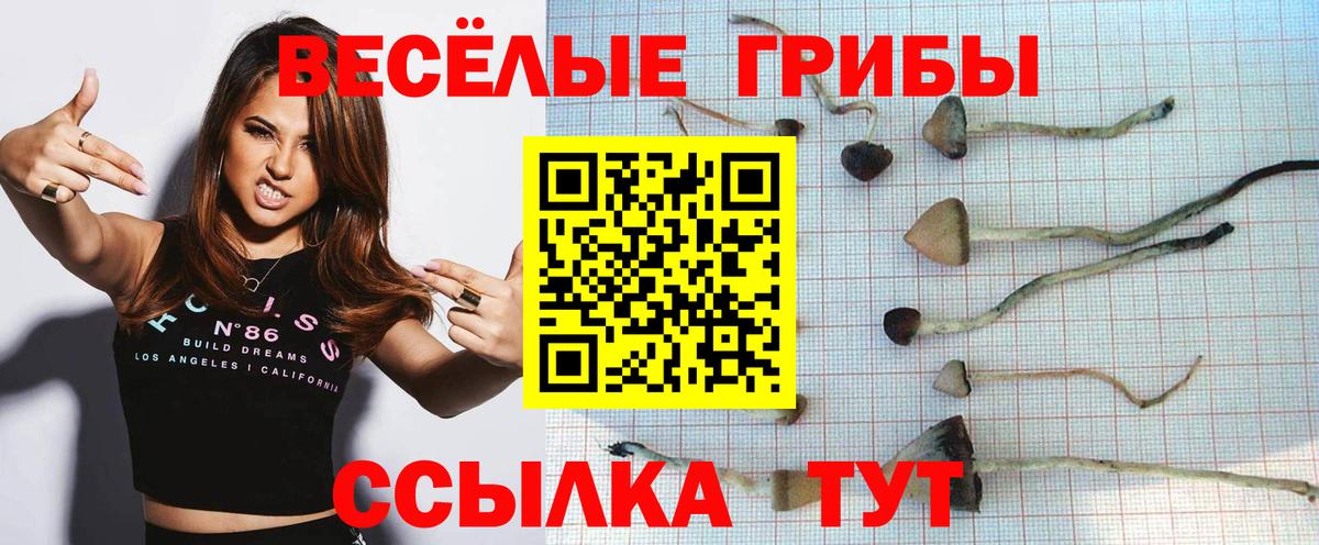 Югорск  Псилоцибиновые грибы MAGIC MUSHROOMS  Псилоцибиновые грибы Psilocybine cubensis  Вход с VPN 